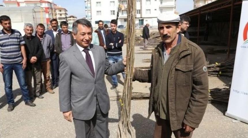 Aksaray’da Çiftçilere 7 Bin 460 Adet Fidan Dağıtıldı