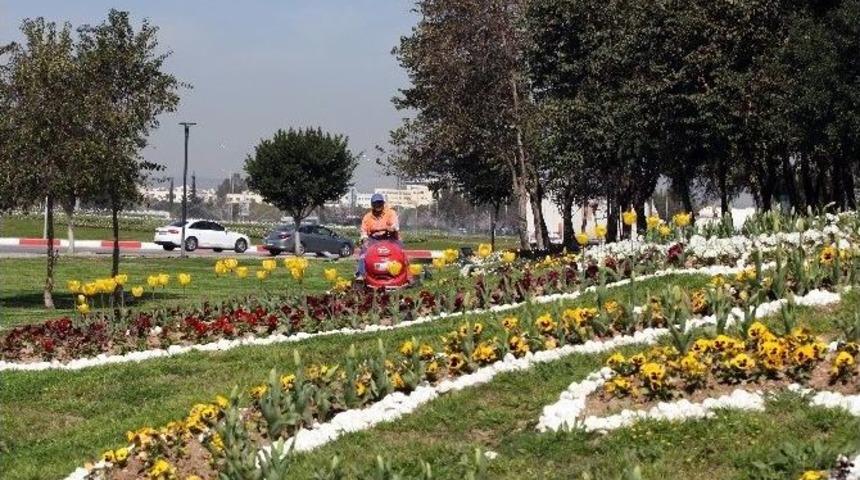 Baharın M&uuml;jdecisi Laleler Antalya&rsquo;yı S&uuml;sl&uuml;yor