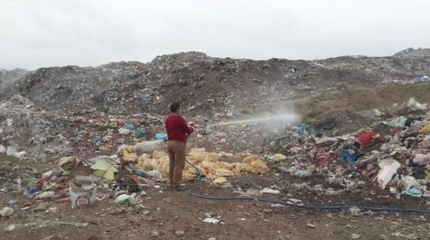 Sungurlu Belediyesi Sineksiz Bir Yaz İ&ccedil;in İla&ccedil;lama Yapıyor