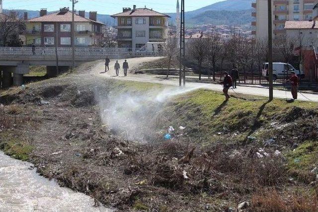 Sungurlu Belediyesi Sineksiz Bir Yaz İçin İlaçlama Yapıyor