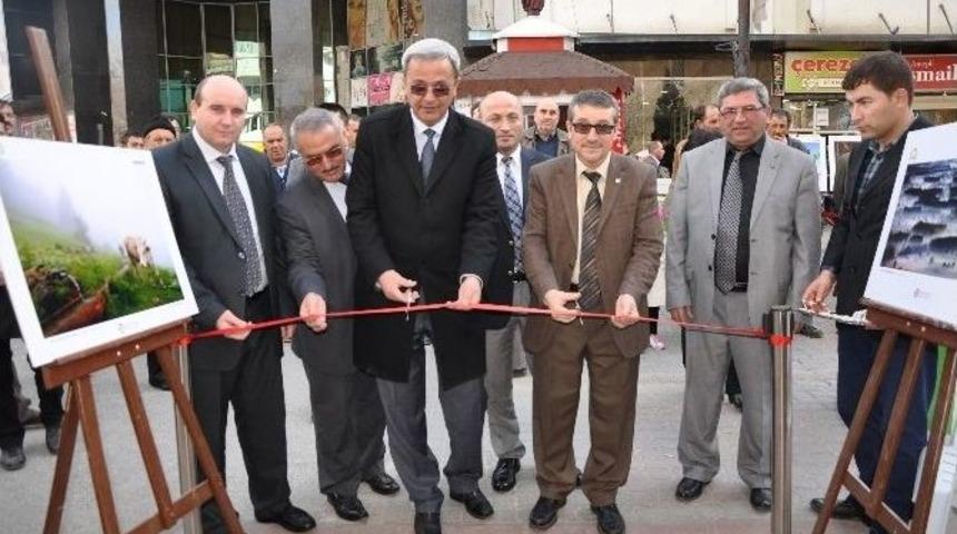 K&uuml;tahya&rsquo;da &rsquo;tarım Ve İnsan&rsquo; Konulu Fotoğraf Sergisi