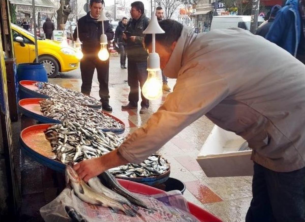 Hamsinin Fiyatı Normale D&ouml;nd&uuml;