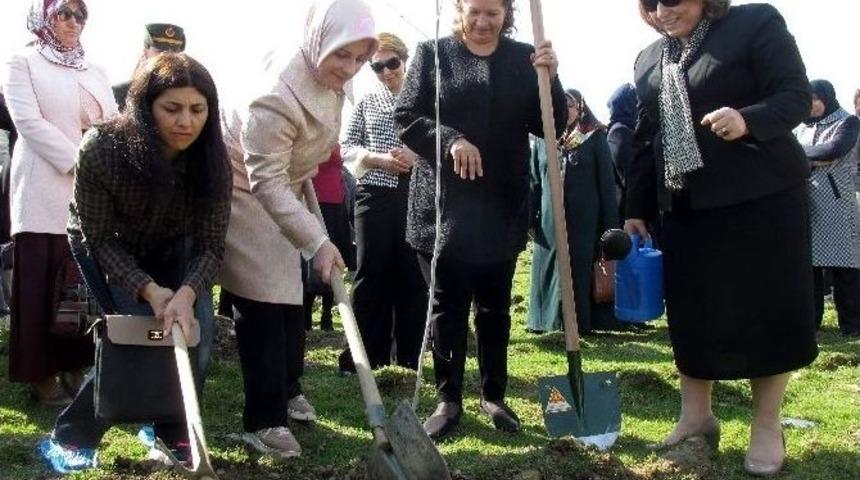 Bereket Ormanı&rsquo;nda Bin Fidan Toprakla Buluştu