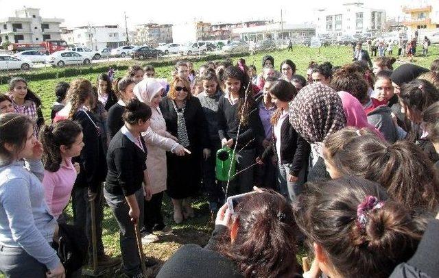 Bereket Ormanı&rsquo;nda Bin Fidan Toprakla Buluştu 1