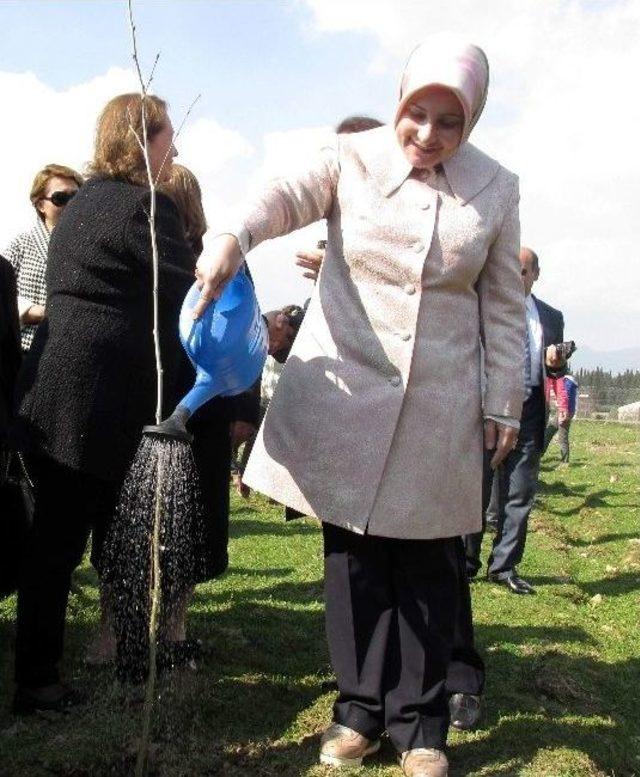 Bereket Ormanı&rsquo;nda Bin Fidan Toprakla Buluştu 3