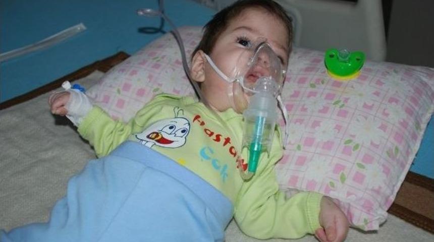 Bu Bebek Kaderine Terk Edildi