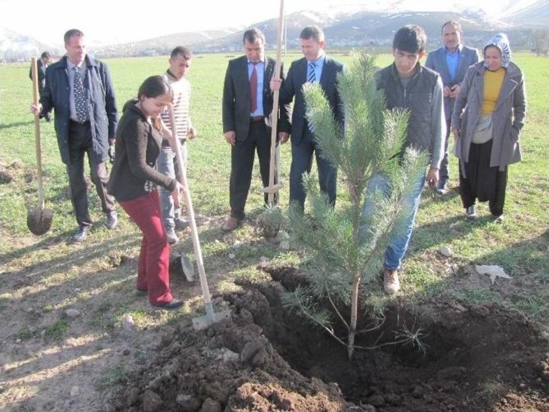K&ouml;ylerimiz Şehir Olsun Projesi Kapsamında Ağa&ccedil; Dikimi Yapıldı