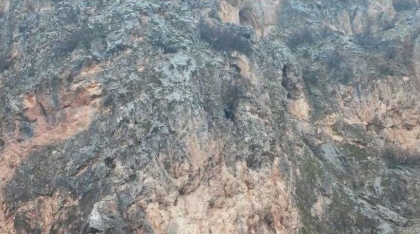 Dağda Mahsur Kalan Ke&ccedil;i Bir Haftadır Kurtarılmayı Bekliyor