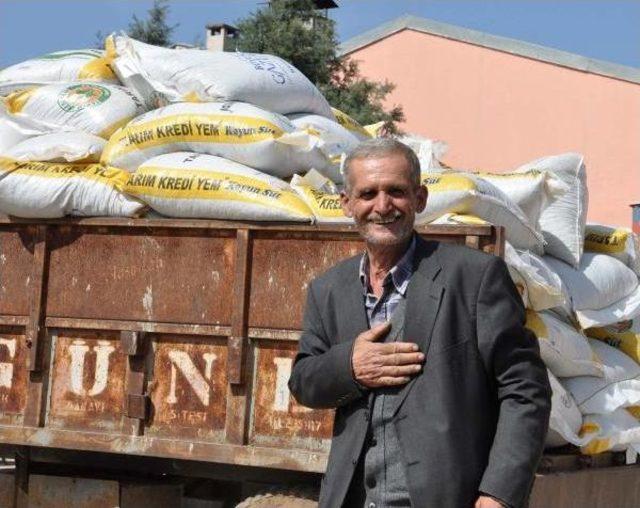 İslahiye’De 416 Besiciye 208 Ton Yem Yardımı