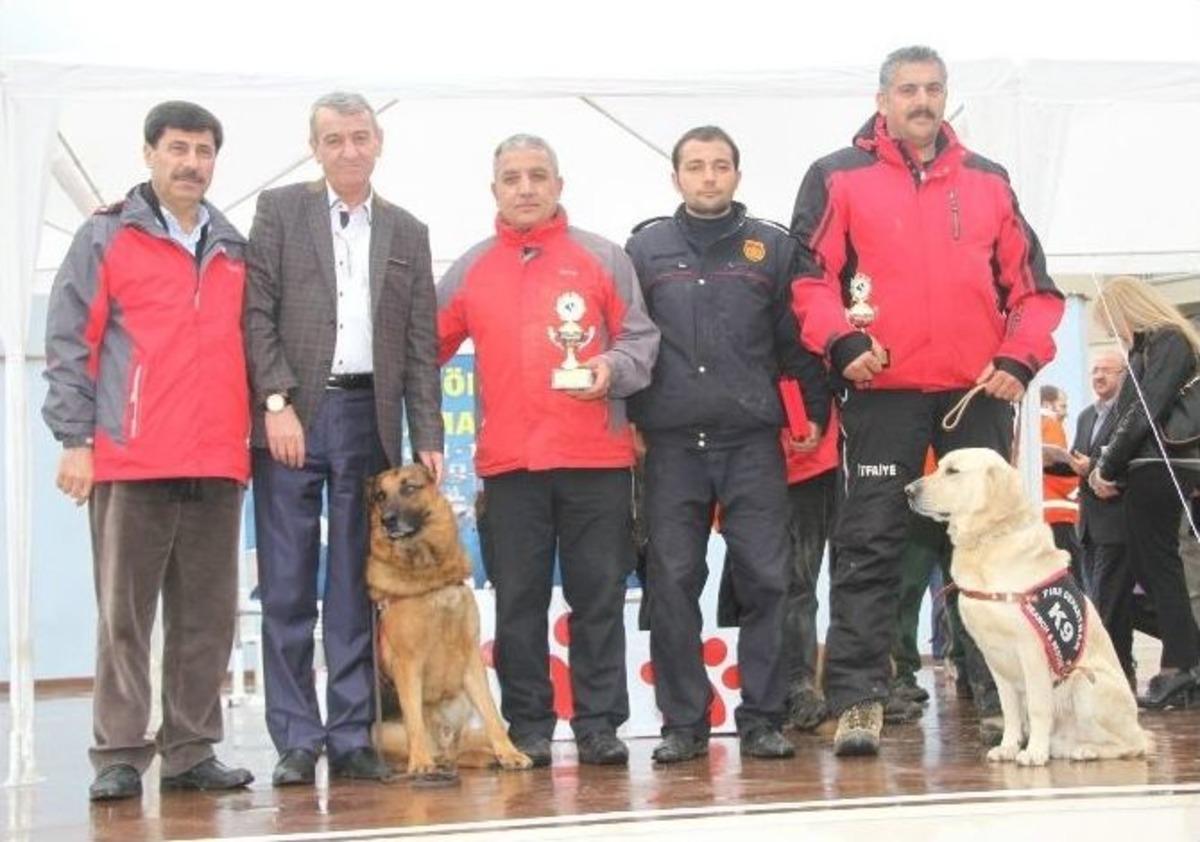 K-9&rsquo;ların Uluslararası Başarısı