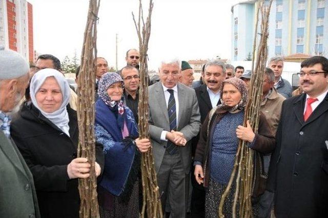 Karaman’da Çiftçilere Meyve Fidanı Dağıtıldı