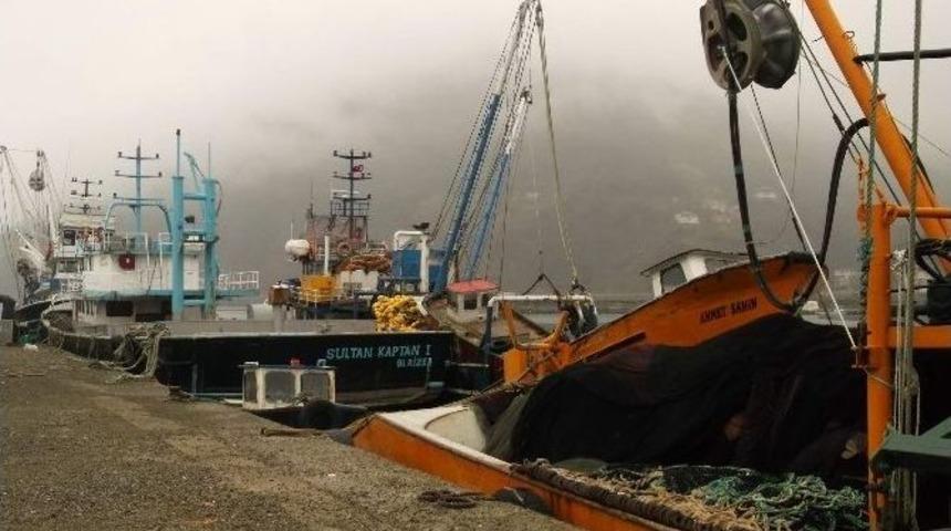 Balık&ccedil;ılar Giden Hamsinin Ardından Gelen Mezgit İle G&uuml;ld&uuml;