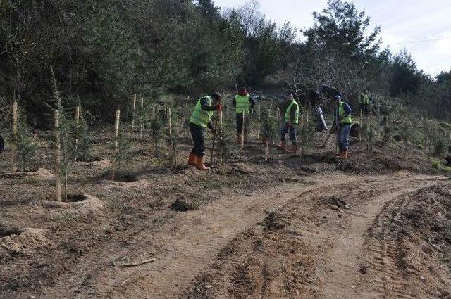 Yeşil Vadi Dilovası&rsquo;nda Hayat Buluyor 1