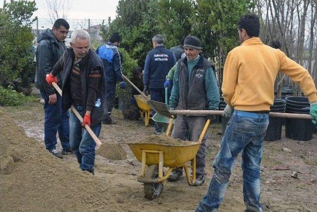 Şehzadeler Belediyesi Kendi Fidanını Kendi &Uuml;retecek 2