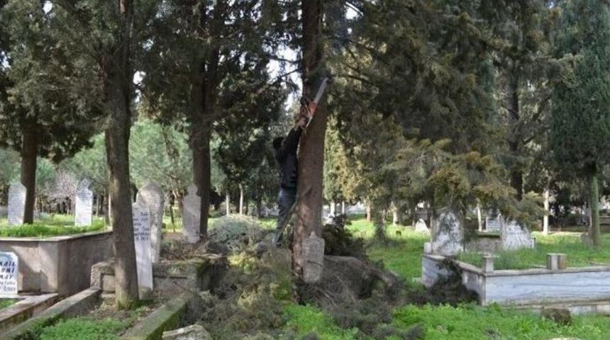 G&ouml;me&ccedil;&rsquo;te Kabristanlıklar Mezbelelikten Kurtarılıyor
