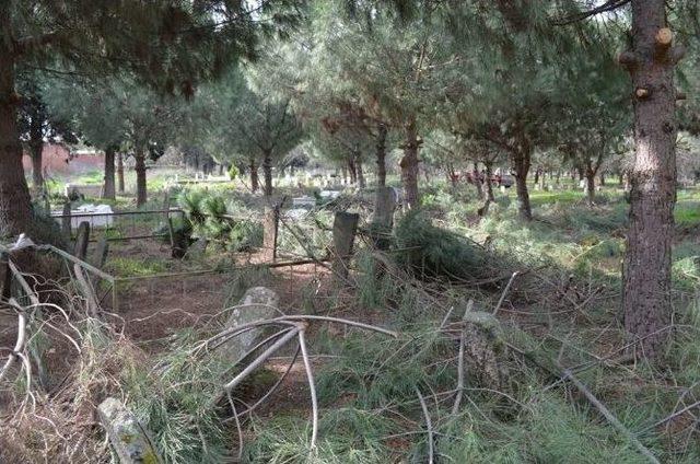 Gömeç’te Kabristanlıklar Mezbelelikten Kurtarılıyor 1