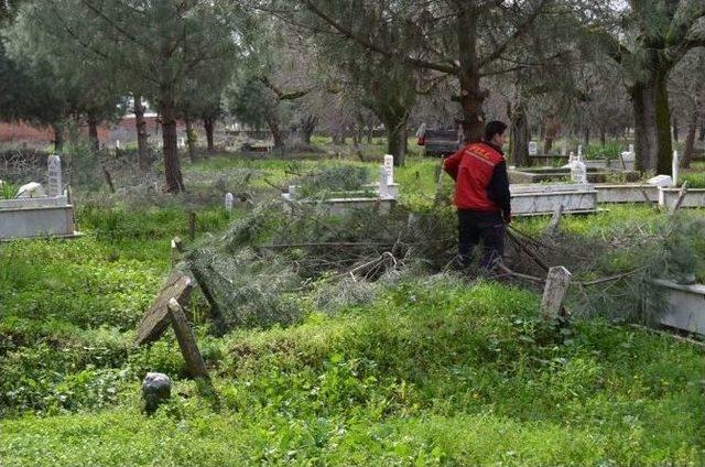 Gömeç’te Kabristanlıklar Mezbelelikten Kurtarılıyor 2