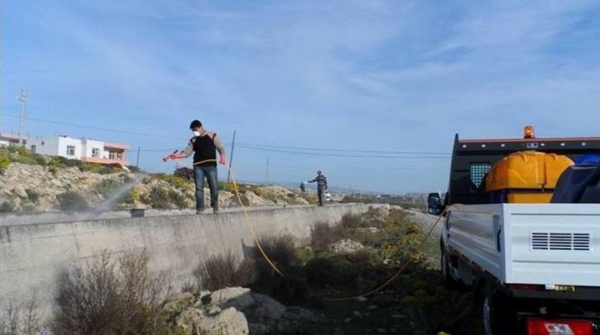 Mut&rsquo;ta Sinekle M&uuml;cadele &Ccedil;alışmaları Başladı