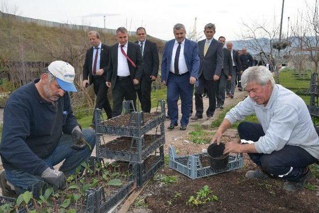 Başkan Baran Serayı Gezdi