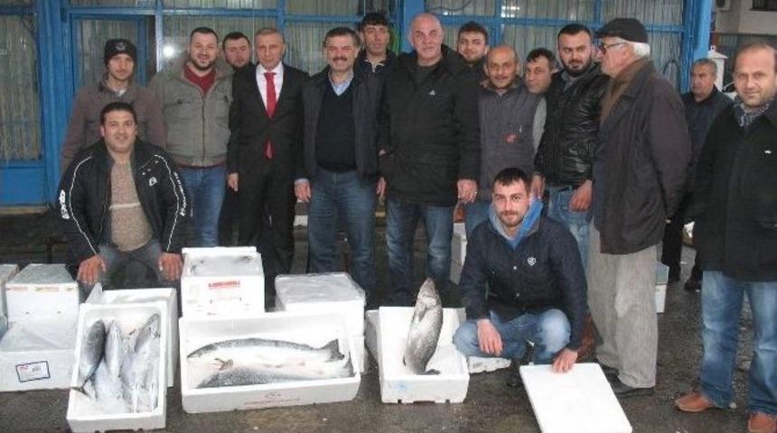 İsmail Cem G&uuml;ner: &ldquo;denizcilik Bakanlığı Kurulmalı&rdquo;