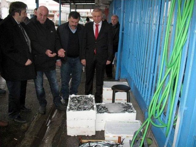 İsmail Cem G&uuml;ner: &ldquo;denizcilik Bakanlığı Kurulmalı&rdquo; 1