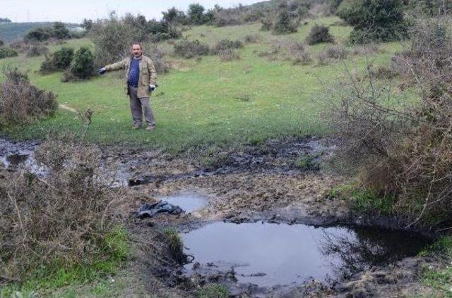 Dilovası'nda Kömür Tozu Akan Dereye Çakıl Taşlı Kamuflaj