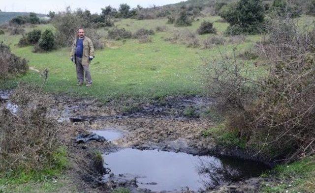 Dilovası'nda Kömür Tozu Akan Dereye Çakıl Taşlı Kamuflaj