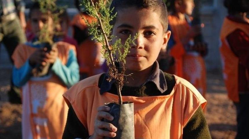 İdil&rsquo;de 50 Bin Fidan Toprakla Buluşuyor