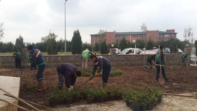 Kartepe Abd&uuml;lhamithan Camii&rsquo;nde Peyzaj D&uuml;zenlemesi Yapılıyor 1