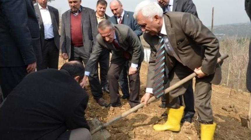 Tarım M&uuml;d&uuml;rl&uuml;ğ&uuml;nden Fidan Dağıtımı