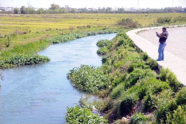 Boğulmak &Uuml;zere Olan Yaşlı Kadın Son Anda Kurtarıldı 1