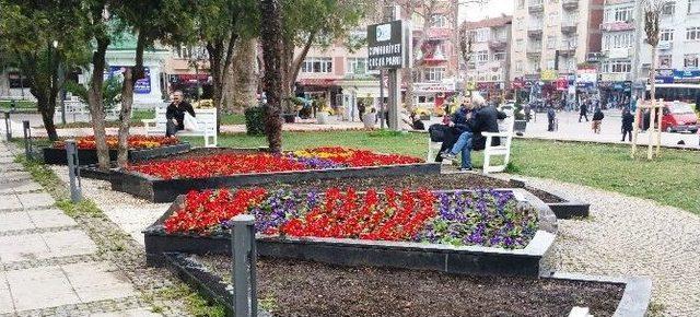 İzmit&rsquo;te Parklar &Ccedil;i&ccedil;ek A&ccedil;tı 2
