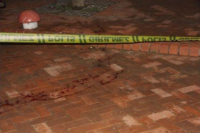 Vurduğu Arkadaşının &Ouml;ld&uuml;ğ&uuml;n&uuml; Zannederek İntihar Etti 1