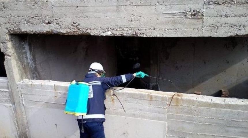 Haşereyle M&uuml;cadele