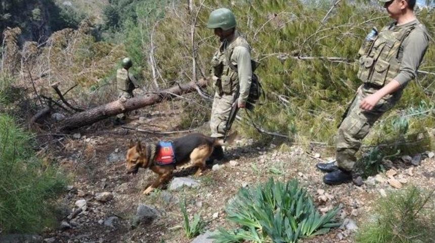 Dağda Kaybolan Yasin&rsquo;i Arama &Ccedil;alışmaları 9 G&uuml;nd&uuml;r S&uuml;r&uuml;yor