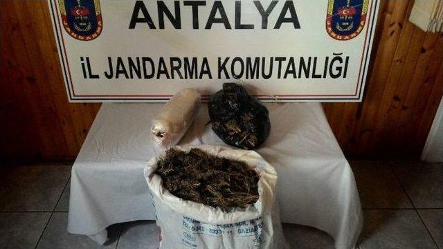&Ccedil;ocuk Yaştaki Uyuşturucu Tacirleri Su&ccedil;&uuml;st&uuml; Yakalandı 1