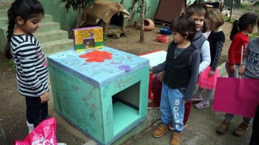 Minik Hayvanseverler