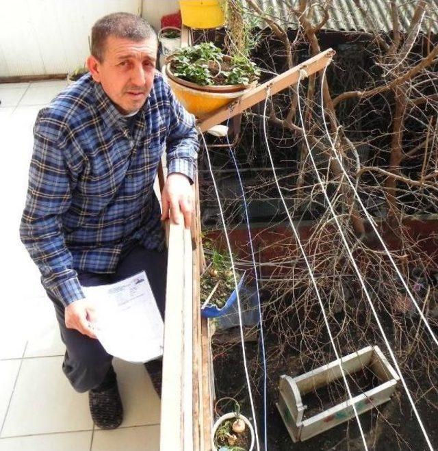 Malulen Emekli Olamayınca, Evinin Bahçesine Mezar Yaptı 1