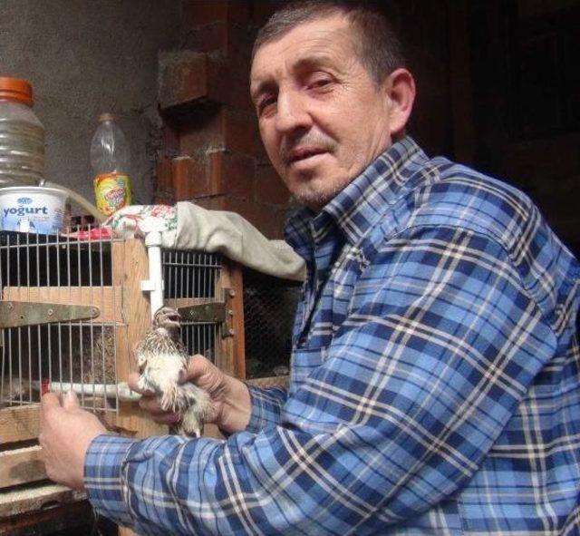 Malulen Emekli Olamayınca, Evinin Bahçesine Mezar Yaptı 3