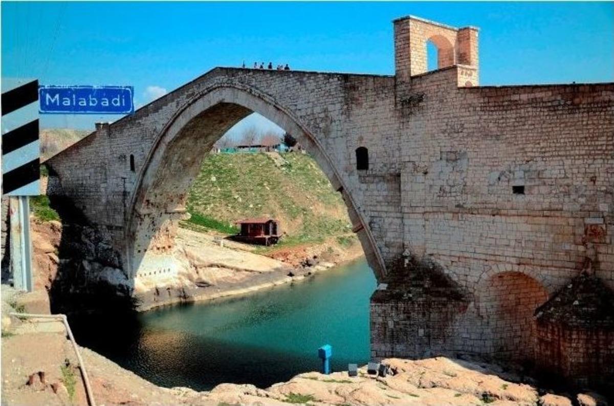 Batman &Ccedil;ayı&rsquo;na Bırakılan Su Samuru &Ouml;l&uuml; Bulundu