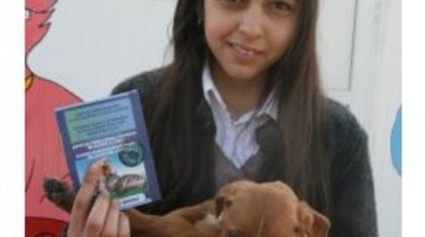 B&uuml;y&uuml;kşehir Sokak Hayvanlarını &Uuml;cretsiz Sahiplendiriyor