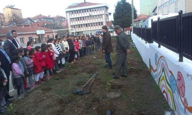 Kurucaşile&rsquo;de &rsquo;okullar Hayat Oluyor&rsquo; 1