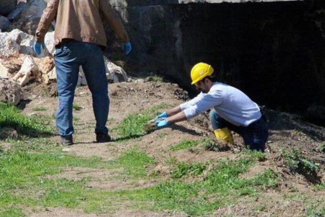 Ahmet Kaya Köprüsü'nün Altında Mayın Bulundu