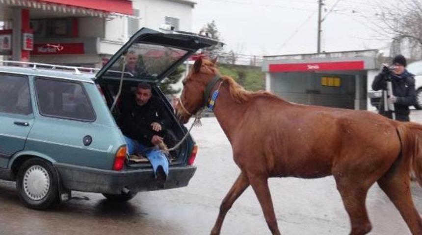 Atını B&ouml;yle S&uuml;r&uuml;kledi