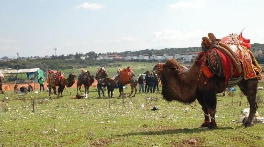 Didim&rsquo;de Develer Spor Kul&uuml;b&uuml; Yararına G&uuml;reşti