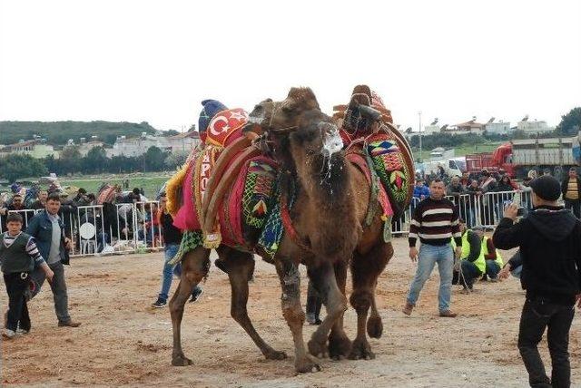 Didim’de Develer Spor Kulübü Yararına Güreşti