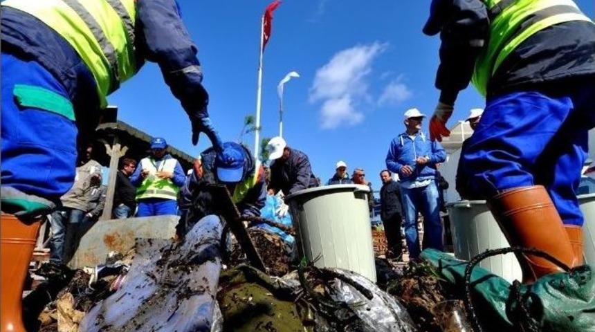 (d&uuml;zeltme) Bodrum&rsquo;da Deniz Dibi Temizliği Kampanyası G&uuml;m&uuml;şl&uuml;k&rsquo;ten Başladı