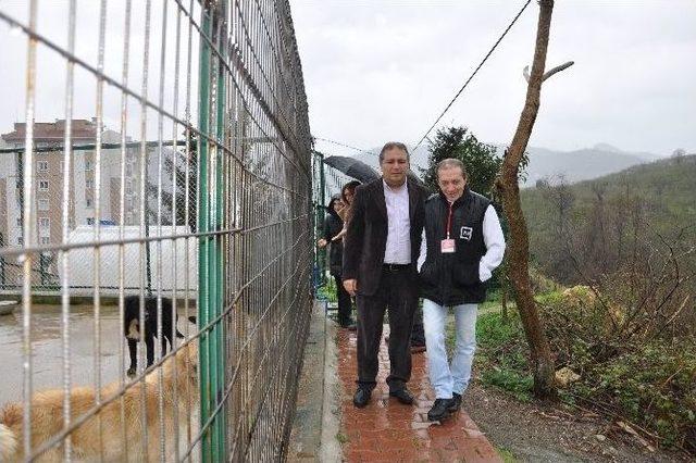 Haykon’dan Giresun Belediyesi Ve Hayvan Barınağı’na Ziyaret