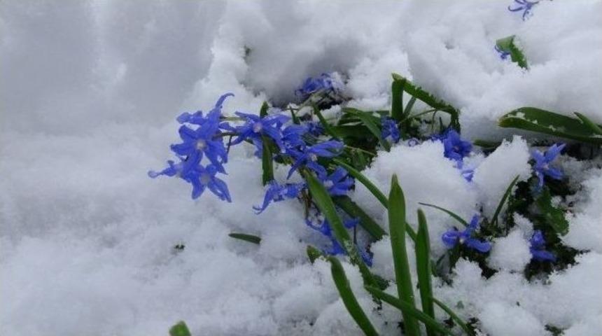 Rize&rsquo;de Mart Karı
