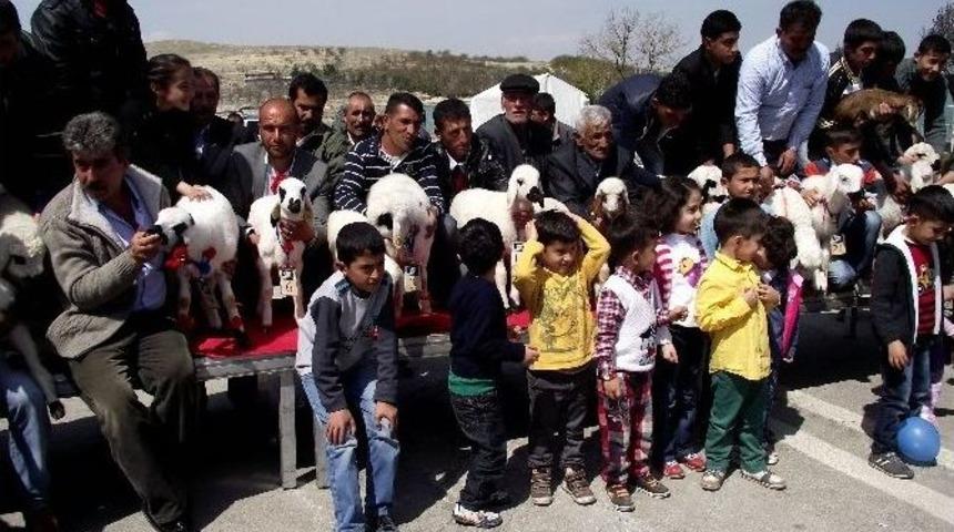 Kuzu Yarışması İ&ccedil;in M&uuml;racaatlar Başladı